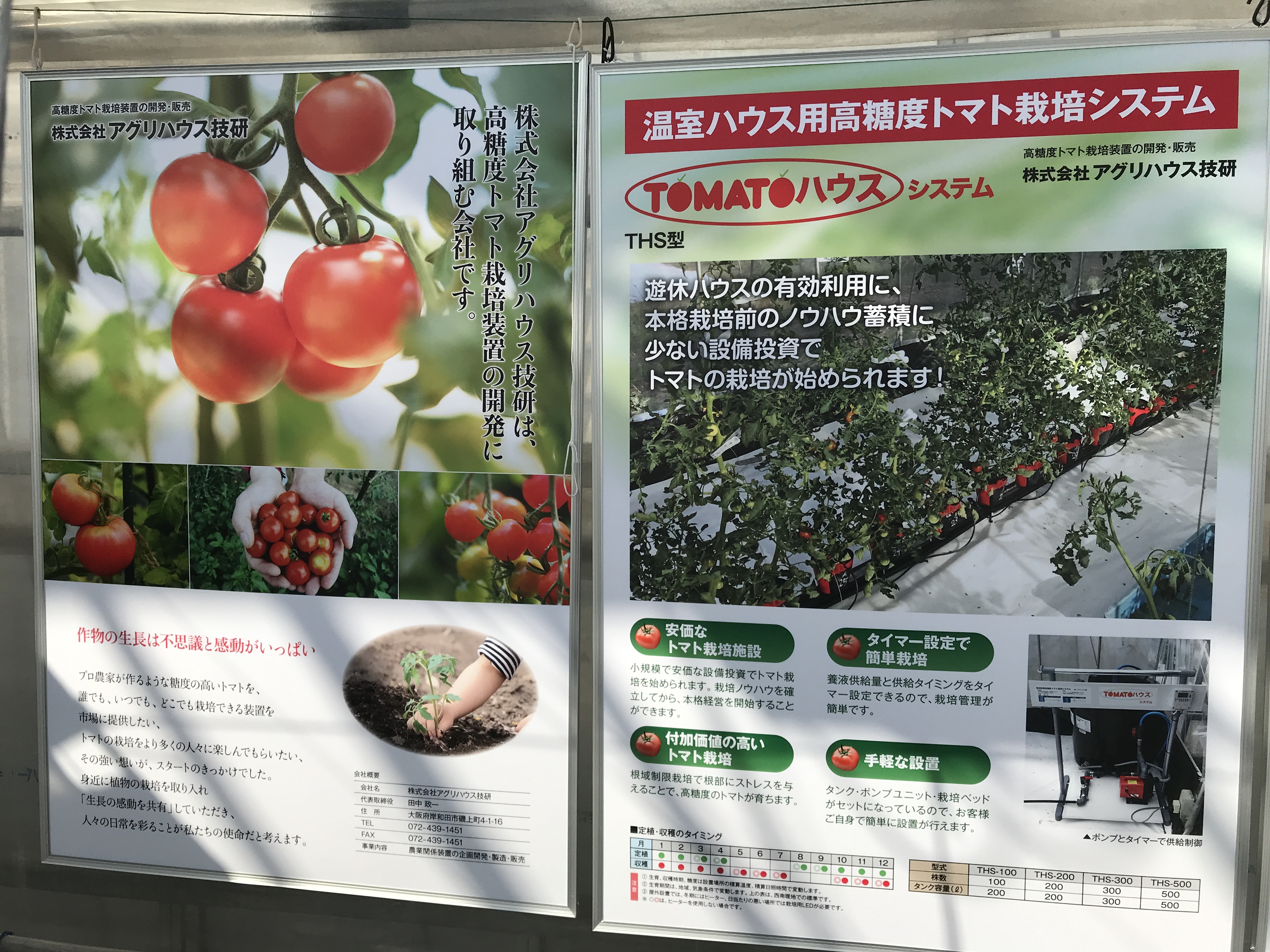 2/10 高糖度トマト栽培スタートしました｜クボタグループ特例子会社